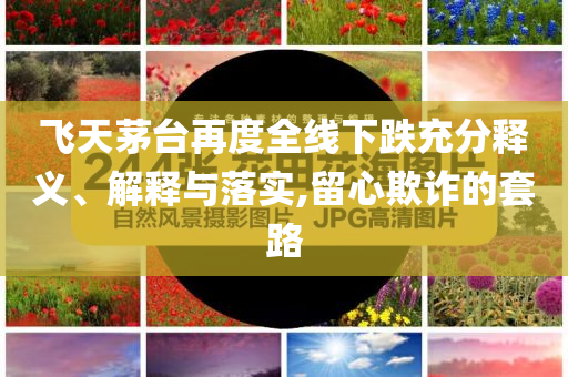 飛天茅臺(tái)再度全線下跌充分釋義、解釋與落實(shí),留心欺詐的套路