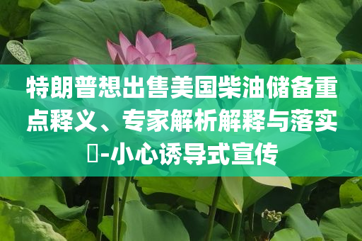 特朗普想出售美國(guó)柴油儲(chǔ)備重點(diǎn)釋義、專家解析解釋與落實(shí)?-小心誘導(dǎo)式宣傳