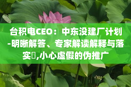 臺(tái)積電CEO：中東沒建廠計(jì)劃-明晰解答、專家解讀解釋與落實(shí)?,小心虛假的偽推廣