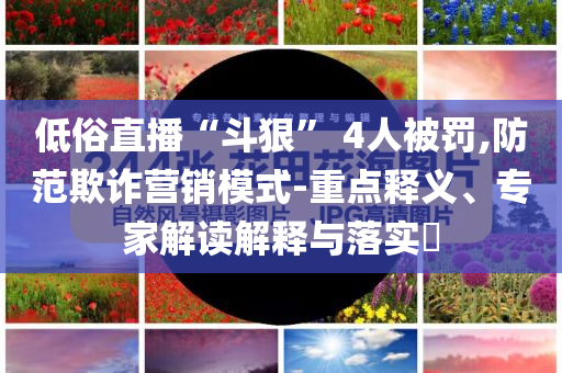 低俗直播“斗狠” 4人被罰,防范欺詐營銷模式-重點釋義、專家解讀解釋與落實?