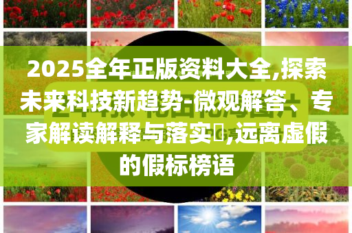 2025全年正版資料大全,探索未來(lái)科技新趨勢(shì)-微觀解答、專家解讀解釋與落實(shí)?,遠(yuǎn)離虛假的假標(biāo)榜語(yǔ)