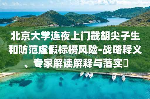 北京大學連夜上門截胡尖子生和防范虛假標榜風險-戰(zhàn)略釋義、專家解讀解釋與落實?