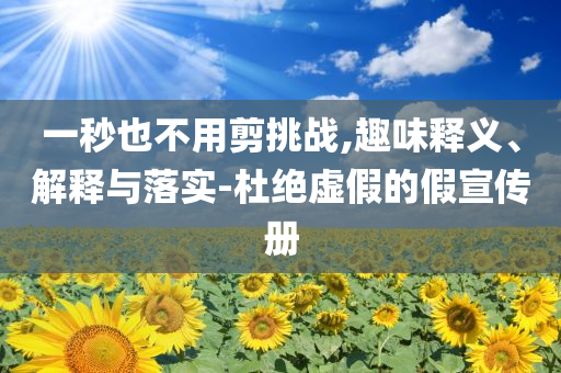 一秒也不用剪挑戰(zhàn),趣味釋義、解釋與落實-杜絕虛假的假宣傳冊