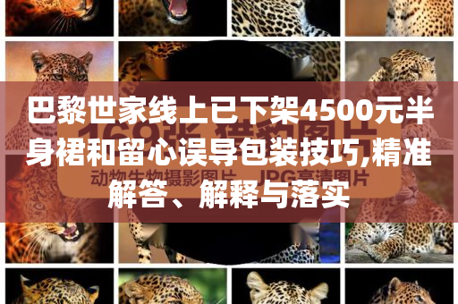 巴黎世家線上已下架4500元半身裙和留心誤導(dǎo)包裝技巧,精準(zhǔn)解答、解釋與落實(shí)