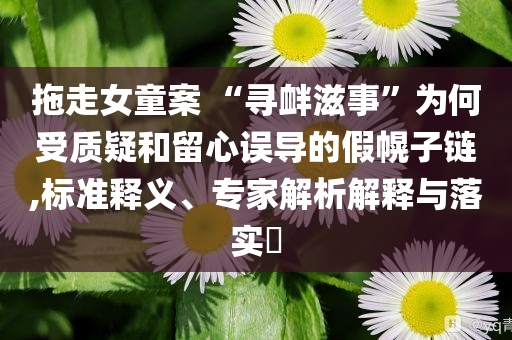 拖走女童案 “尋釁滋事”為何受質(zhì)疑和留心誤導(dǎo)的假幌子鏈,標(biāo)準(zhǔn)釋義、專家解析解釋與落實(shí)?