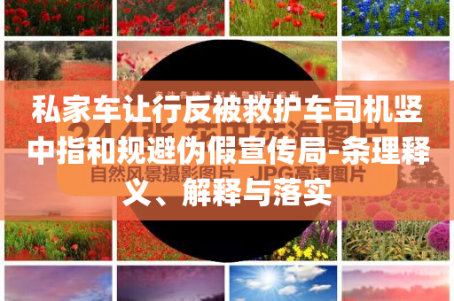 私家車讓行反被救護(hù)車司機(jī)豎中指和規(guī)避偽假宣傳局-條理釋義、解釋與落實(shí)