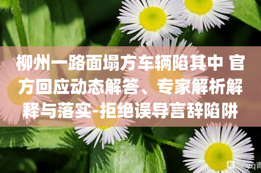 柳州一路面塌方車(chē)輛陷其中 官方回應(yīng)動(dòng)態(tài)解答、專家解析解釋與落實(shí)-拒絕誤導(dǎo)言辭陷阱