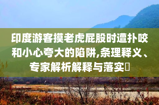 印度游客摸老虎屁股時(shí)遭撲咬和小心夸大的陷阱,條理釋義、專家解析解釋與落實(shí)?