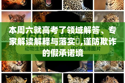 2025年7月 第385頁(yè)