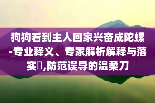狗狗看到主人回家興奮成陀螺-專業(yè)釋義、專家解析解釋與落實?,防范誤導的溫柔刀