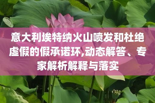 意大利埃特納火山噴發(fā)和杜絕虛假的假承諾環(huán),動態(tài)解答、專家解析解釋與落實
