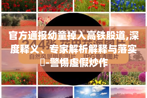 官方通報(bào)幼童掉入高鐵股道,深度釋義、專家解析解釋與落實(shí)?-警惕虛假炒作