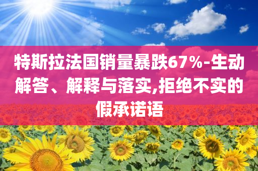 特斯拉法國銷量暴跌67%-生動(dòng)解答、解釋與落實(shí),拒絕不實(shí)的假承諾語