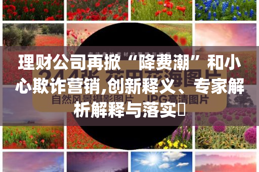 理財公司再掀“降費(fèi)潮”和小心欺詐營銷,創(chuàng)新釋義、專家解析解釋與落實(shí)?