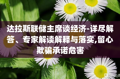 達(dá)拉斯聯(lián)儲主席談經(jīng)濟(jì)-詳盡解答、專家解讀解釋與落實(shí),留心欺騙承諾危害