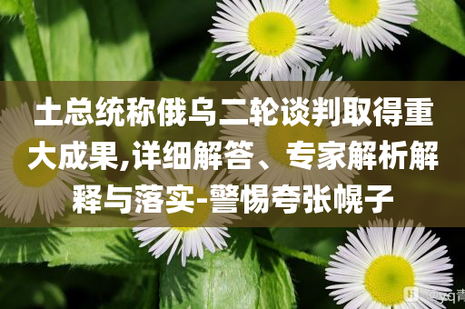 土總統(tǒng)稱俄烏二輪談判取得重大成果,詳細(xì)解答、專家解析解釋與落實(shí)-警惕夸張幌子