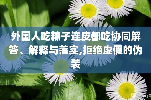 外國人吃粽子連皮都吃協(xié)同解答、解釋與落實(shí),拒絕虛假的偽裝
