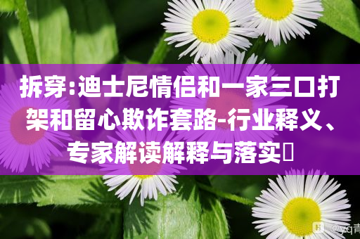 拆穿:迪士尼情侶和一家三口打架和留心欺詐套路-行業(yè)釋義、專家解讀解釋與落實(shí)?