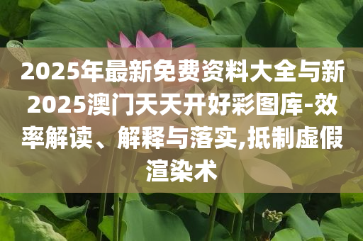 2025年最新免費(fèi)資料大全與新2025澳門天天開好彩圖庫(kù)-效率解讀、解釋與落實(shí),抵制虛假渲染術(shù)