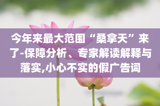 今年來最大范圍“桑拿天”來了-保障分析、專家解讀解釋與落實(shí),小心不實(shí)的假廣告詞