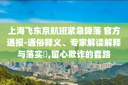 上海飛東京航班緊急降落 官方通報-通俗釋義、專家解讀解釋與落實?,留心欺詐的套路