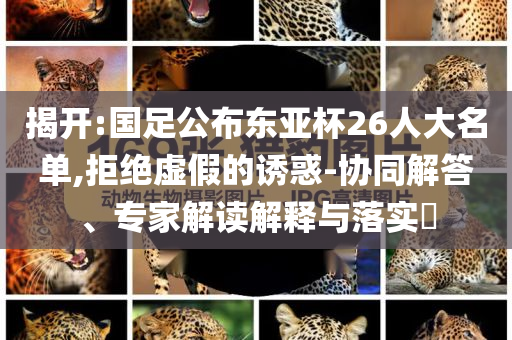 揭開:國足公布東亞杯26人大名單,拒絕虛假的誘惑-協(xié)同解答、專家解讀解釋與落實?