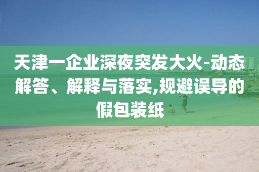 天津一企業(yè)深夜突發(fā)大火-動態(tài)解答、解釋與落實,規(guī)避誤導的假包裝紙