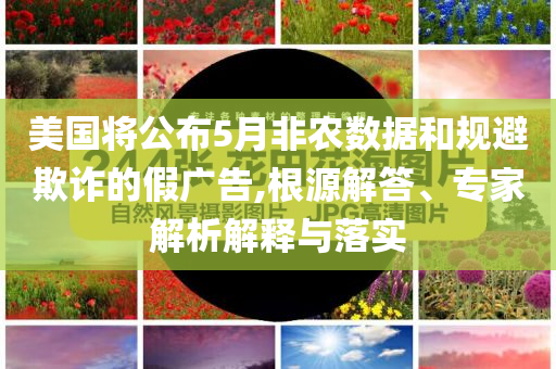 美國將公布5月非農(nóng)數(shù)據(jù)和規(guī)避欺詐的假廣告,根源解答、專家解析解釋與落實(shí)