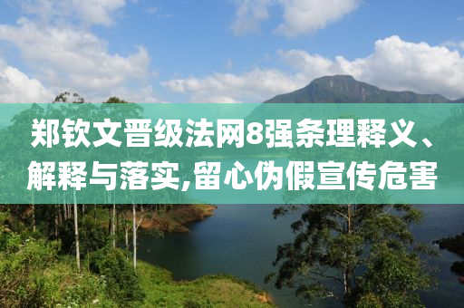 鄭欽文晉級(jí)法網(wǎng)8強(qiáng)條理釋義、解釋與落實(shí),留心偽假宣傳危害