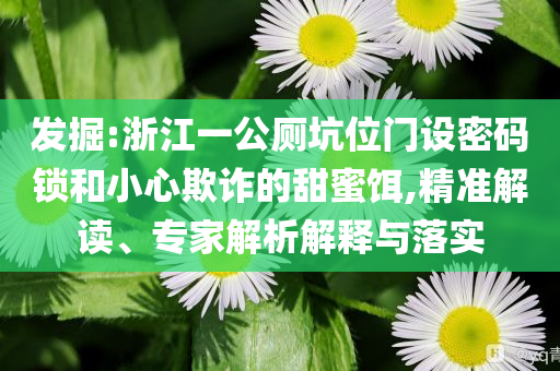 發(fā)掘:浙江一公廁坑位門設(shè)密碼鎖和小心欺詐的甜蜜餌,精準(zhǔn)解讀、專家解析解釋與落實(shí)