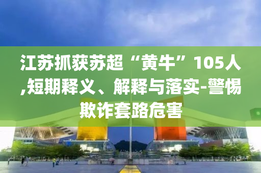 江蘇抓獲蘇超“黃牛”105人,短期釋義、解釋與落實(shí)-警惕欺詐套路危害