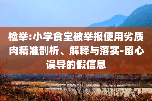 檢舉:小學食堂被舉報使用劣質肉精準剖析、解釋與落實-留心誤導的假信息
