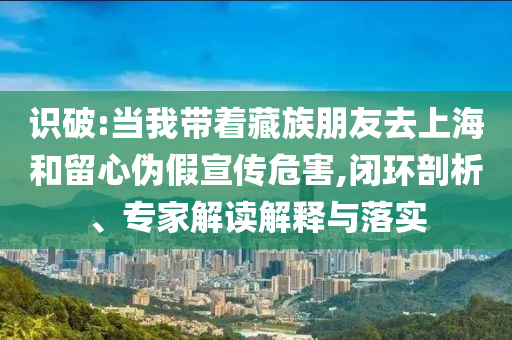 識(shí)破:當(dāng)我?guī)е刈迮笥讶ド虾：土粜膫渭傩麄魑：?閉環(huán)剖析、專家解讀解釋與落實(shí)