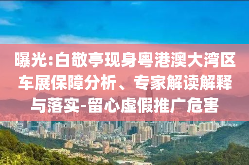 曝光:白敬亭現(xiàn)身粵港澳大灣區(qū)車展保障分析、專家解讀解釋與落實(shí)-留心虛假推廣危害