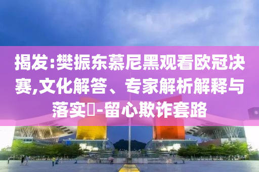 揭發(fā):樊振東慕尼黑觀看歐冠決賽,文化解答、專家解析解釋與落實(shí)?-留心欺詐套路