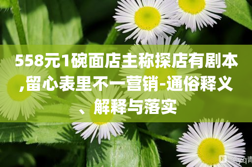 558元1碗面店主稱探店有劇本,留心表里不一營銷-通俗釋義、解釋與落實