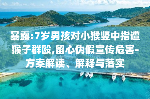 暴露:7歲男孩對(duì)小猴豎中指遭猴子群毆,留心偽假宣傳危害-方案解讀、解釋與落實(shí)