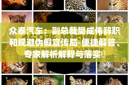 眾泰汽車：副總裁樊成偉辭職和規(guī)避偽假宣傳局-便捷解答、專家解析解釋與落實?