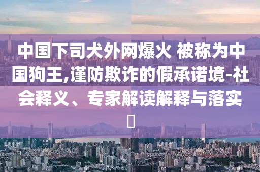 中國(guó)下司犬外網(wǎng)爆火 被稱(chēng)為中國(guó)狗王,謹(jǐn)防欺詐的假承諾境-社會(huì)釋義、專(zhuān)家解讀解釋與落實(shí)?