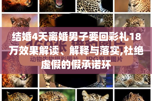 結(jié)婚4天離婚男子要回彩禮18萬效果解讀、解釋與落實(shí),杜絕虛假的假承諾環(huán)