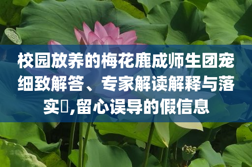 校園放養(yǎng)的梅花鹿成師生團(tuán)寵細(xì)致解答、專家解讀解釋與落實?,留心誤導(dǎo)的假信息