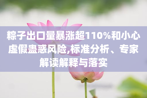 粽子出口量暴漲超110%和小心虛假蠱惑風(fēng)險,標(biāo)準(zhǔn)分析、專家解讀解釋與落實