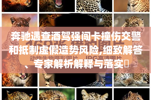 奔馳遇查酒駕強闖卡撞傷交警和抵制虛假造勢風(fēng)險,細致解答、專家解析解釋與落實?