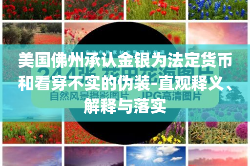 美國佛州承認金銀為法定貨幣和看穿不實的偽裝-直觀釋義、解釋與落實