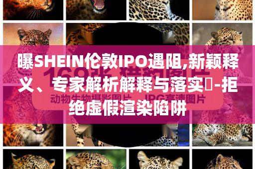曝SHEIN倫敦IPO遇阻,新穎釋義、專家解析解釋與落實?-拒絕虛假渲染陷阱