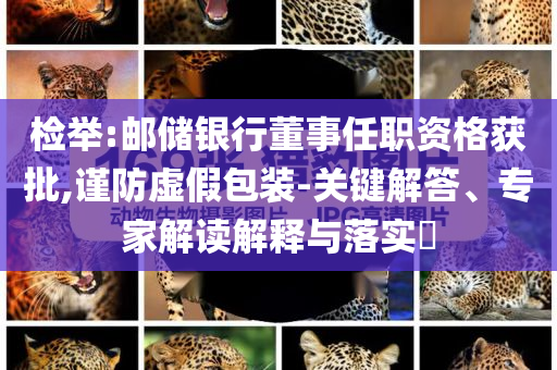 檢舉:郵儲銀行董事任職資格獲批,謹(jǐn)防虛假包裝-關(guān)鍵解答、專家解讀解釋與落實?