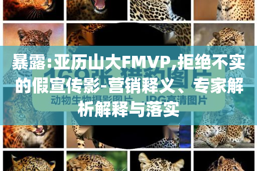 暴露:亞歷山大FMVP,拒絕不實(shí)的假宣傳影-營(yíng)銷(xiāo)釋義、專(zhuān)家解析解釋與落實(shí)
