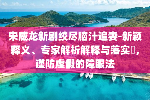 宋威龍新劇絞盡腦汁追妻-新穎釋義、專家解析解釋與落實?,謹(jǐn)防虛假的障眼法