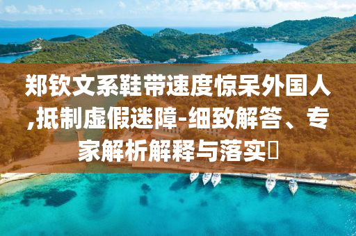 鄭欽文系鞋帶速度驚呆外國人,抵制虛假迷障-細致解答、專家解析解釋與落實?