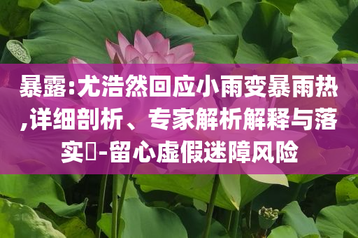 2025年7月3日 第27頁